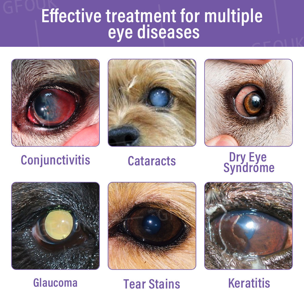👩⚕️GFOUK® NanoCare Pet Eye Drops ☑️ FDA Approved | Relieves Conjunctivitis, Dry Eyes, Cataracts, and Keratitis🐶 🐈️