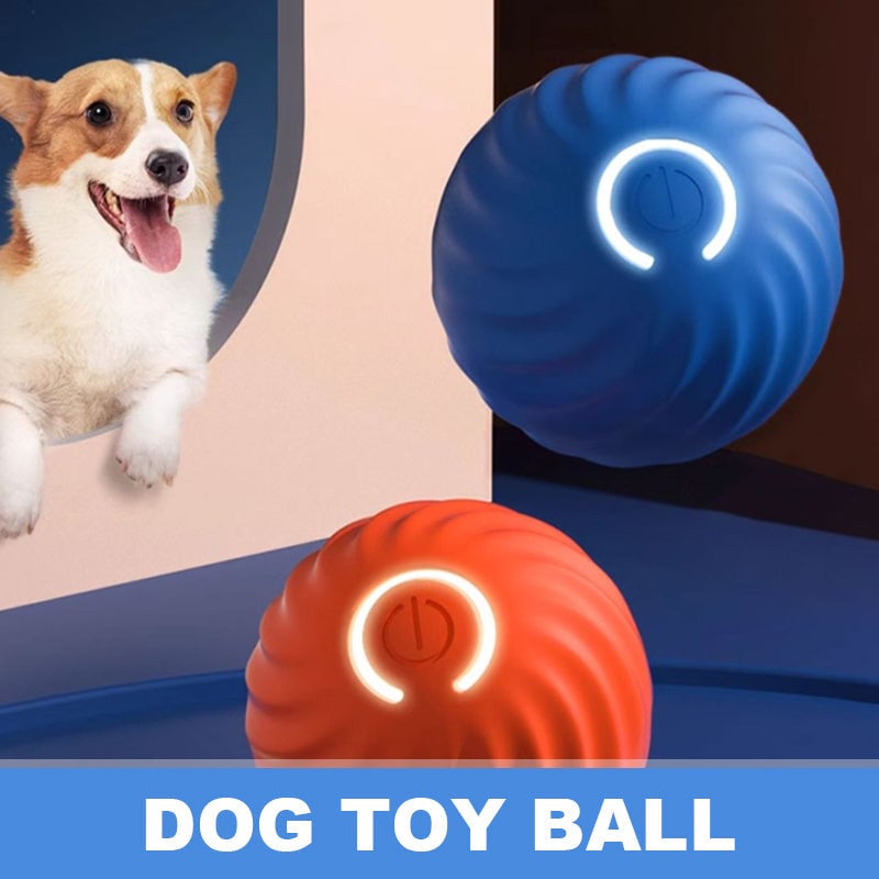 ✨Last Day Promotio🎁Dog Toy Ball 💥