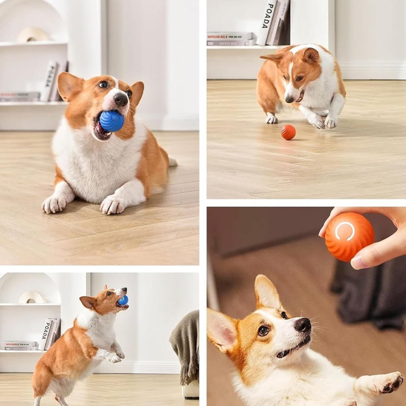 ✨Last Day Promotio🎁Dog Toy Ball 💥