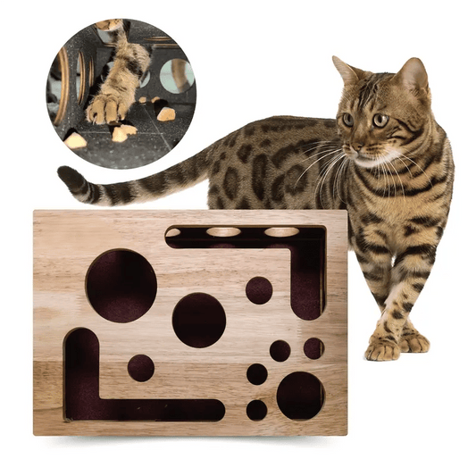 49%OFF 🎁🎄Cat Scratch Puzzle Enrichment Box: Nail File Stress Free Alternative to Clippers and Grinders