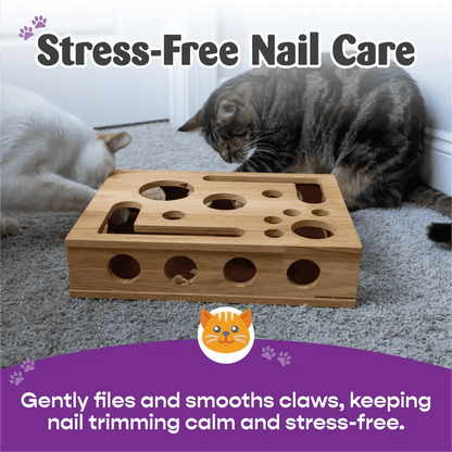 49%OFF 🎁🎄Cat Scratch Puzzle Enrichment Box: Nail File Stress Free Alternative to Clippers and Grinders